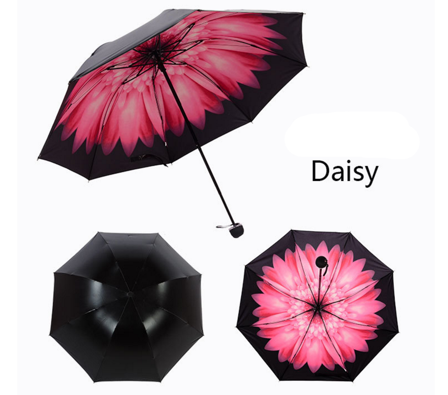 umbrella-dasiy.png